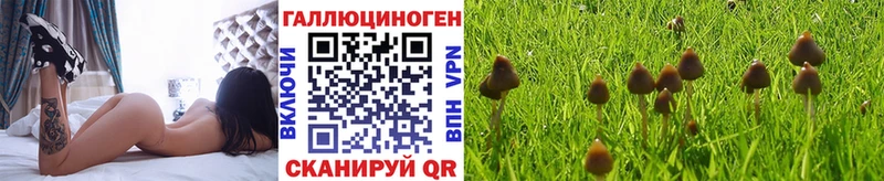 Купить  Бронницы  Псилоцибиновые грибы Psilocybine cubensis 